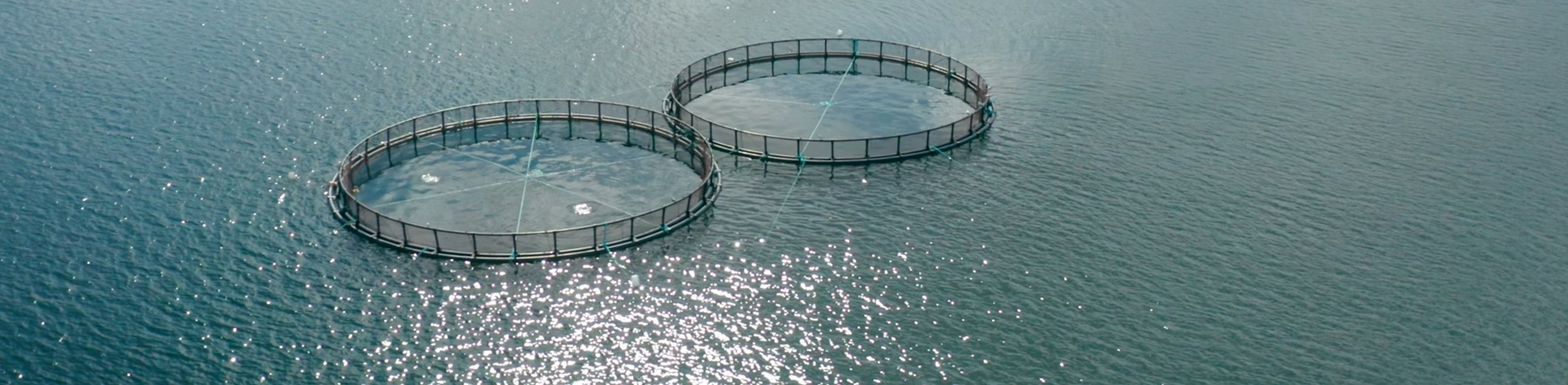 Aerial drone shot of fish farming structures in the ocean.