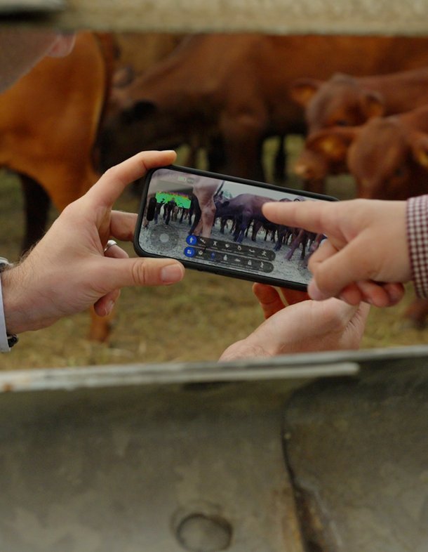 People working with Frontier software on a smartphone.